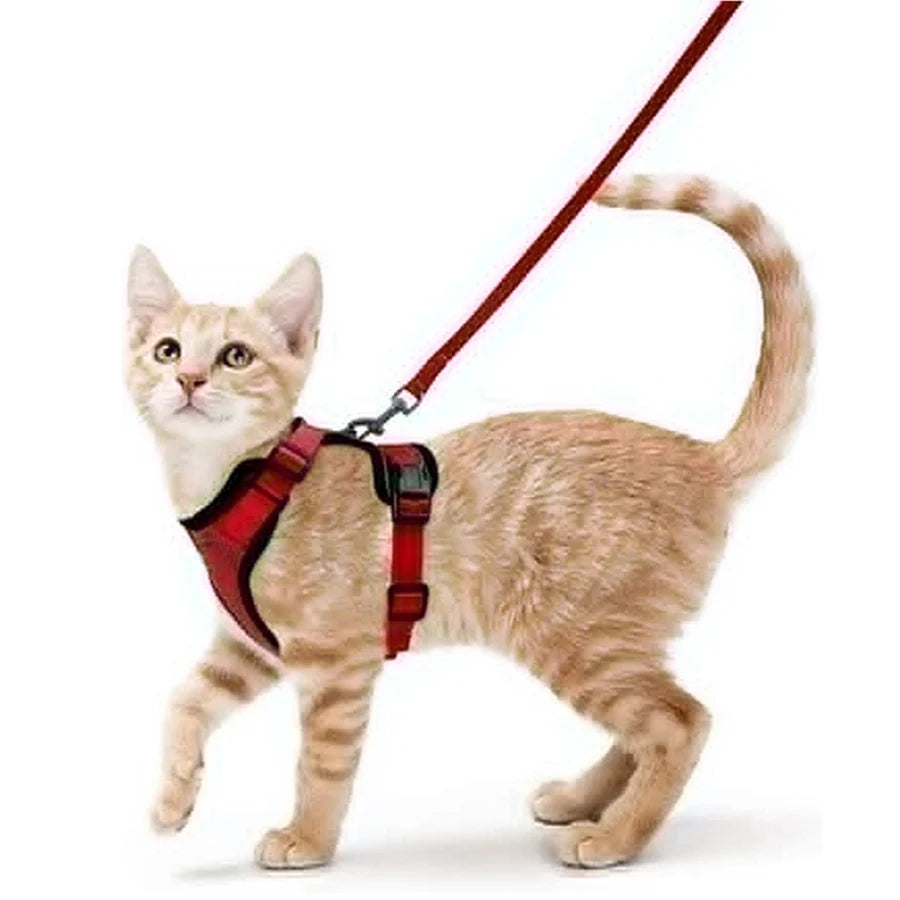 🐱🐾 Escape-Proof Cat Harness and Leash | Soft Adjustable Vest Harness for Walking 🌿 | Easy Control & Comfortable Outdoor Cat Gear