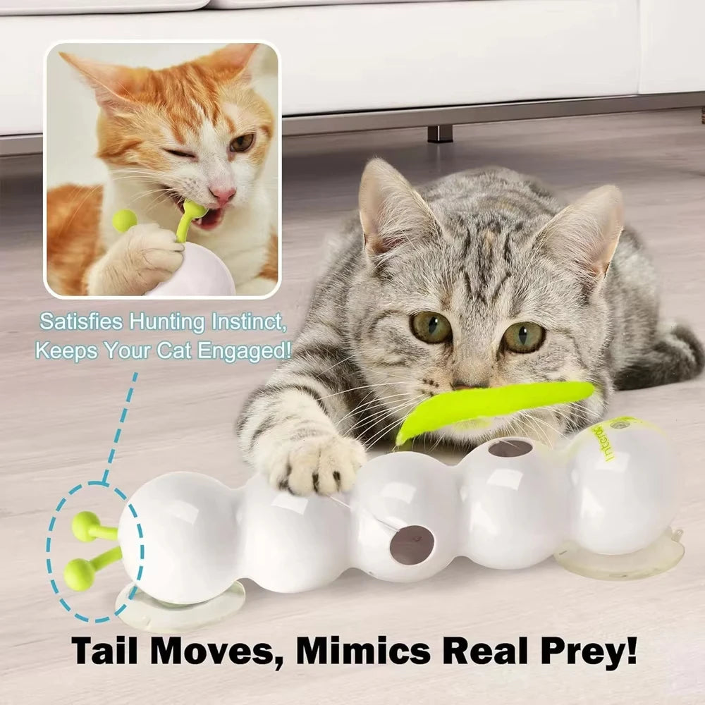 🐛🐾 Caterpillar Interactive Cat Toy – Motion Activated Wack-A-Worm