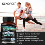 Himalayan Shilajit Capsules – Natural Mineral & Fulvic Acid Supplement | 30/60/120 Count