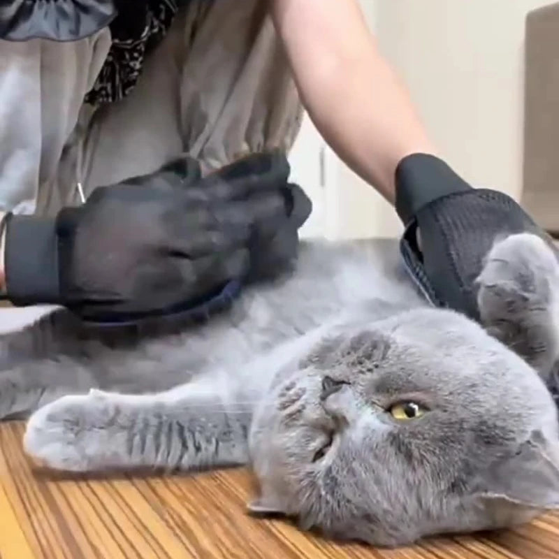 Silicone Pet Grooming Gloves – Hair Removal Brush for Dogs & Cats