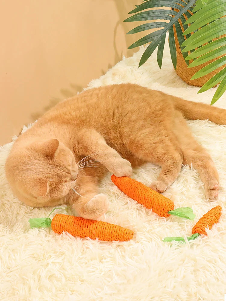 🥕🐱 Cat Carrot Chew Toy – Hemp Rope Teeth Grinding Interactive Toy