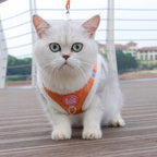 ❄️🐾 Rabbit Fur Winter Cat & Dog Harness with Leash – Reflective Adjustable Set