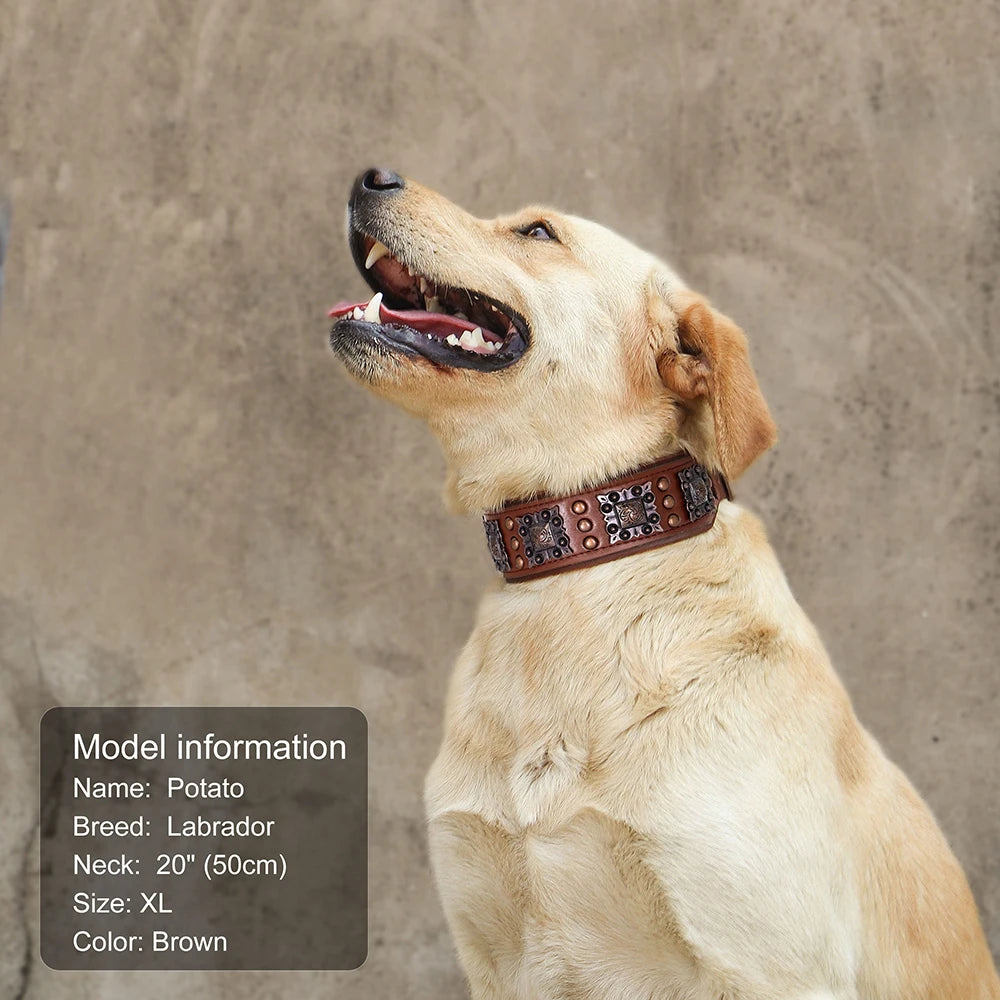 🐕🛡️ Spiked Leather Dog Collar – Heavy Duty Adjustable
