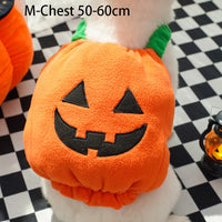 M-Chest - 19.69–23.62 IN (50-60cm)