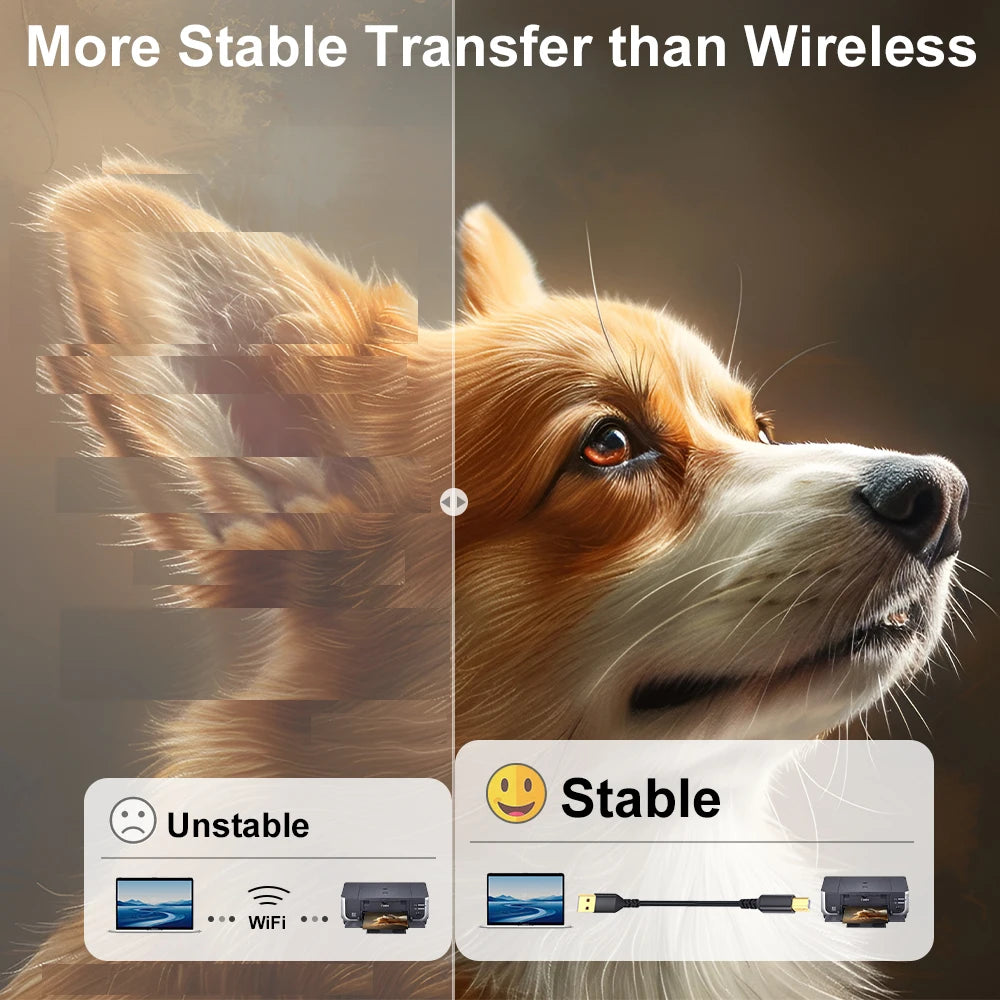 USB B to USB A Printer Cable 2.0 – High Speed Male to Male Scanner Cord for HP, Canon, Epson, Dell, Lexmark