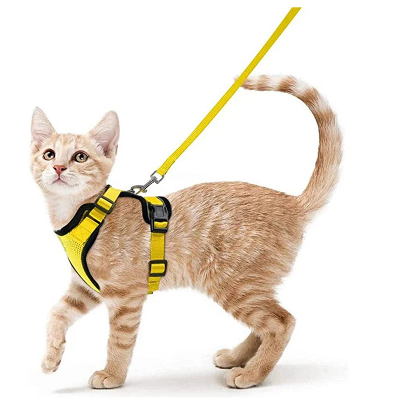 🐱🐾 Escape-Proof Cat Harness and Leash | Soft Adjustable Vest Harness for Walking 🌿 | Easy Control & Comfortable Outdoor Cat Gear