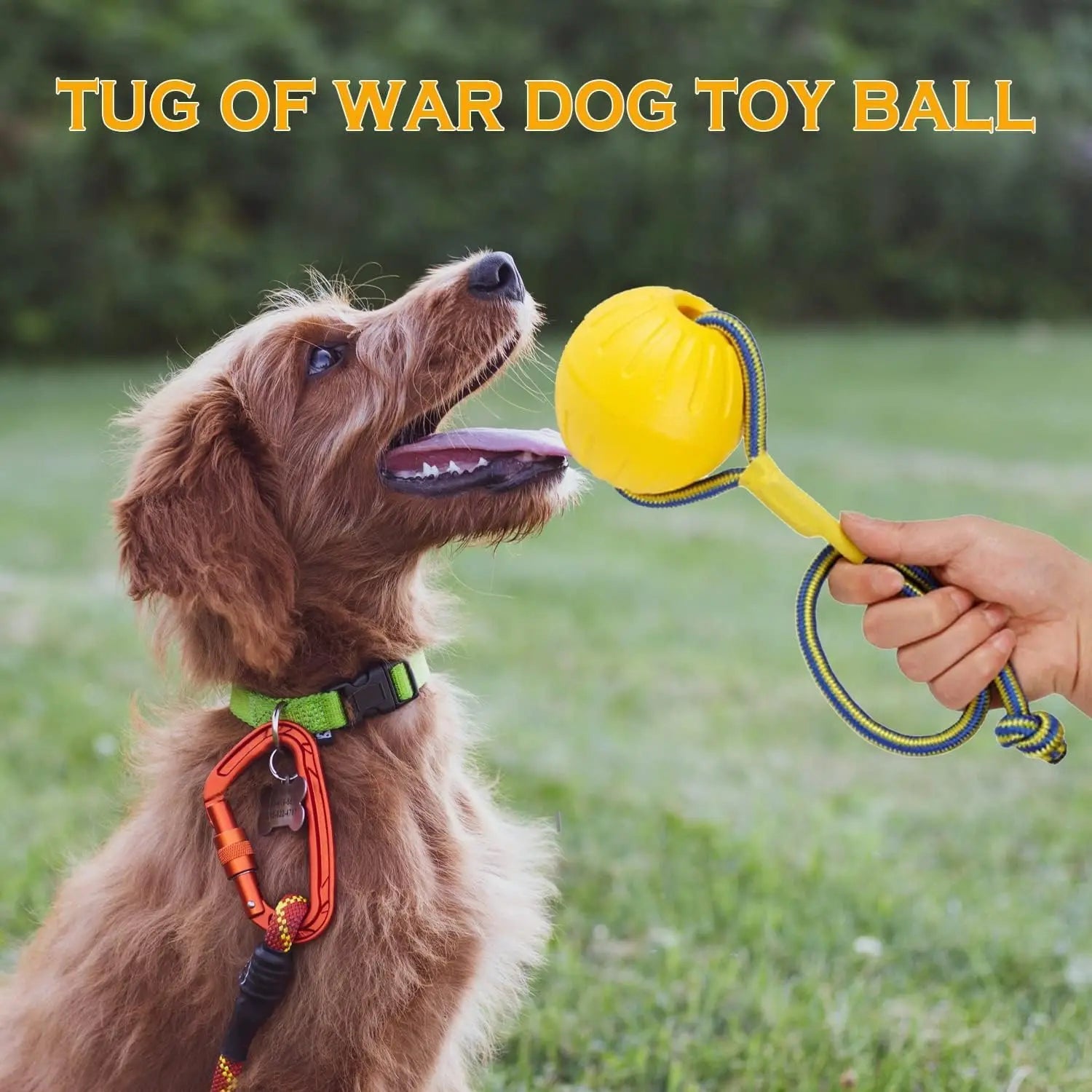 🎾🐶 EVA Floating Dog Ball – Bite Resistant Pull Ring Rope Toy