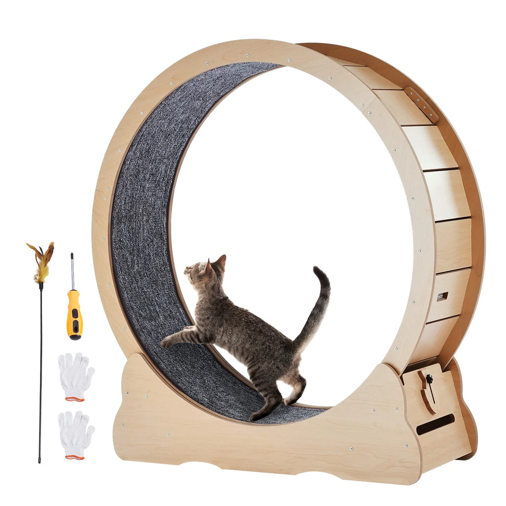 🐱🏃‍♀️ SucceBuy Wooden Cat Exercise Wheel – Large Indoor Treadmill 🔎 SEO Title