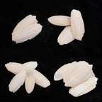 🦜🔔 Parrot Calcium Cuttlefish Bone Perch with Hanging Bell