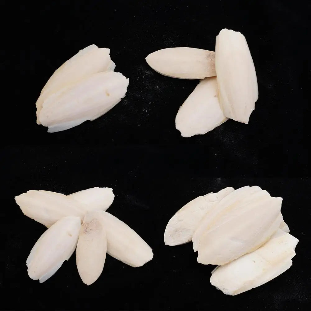 🦜🔔 Parrot Calcium Cuttlefish Bone Perch with Hanging Bell