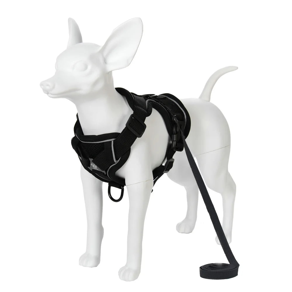 🐾🎽 Breathable Reflective Cat & Small Dog Harness with Leash