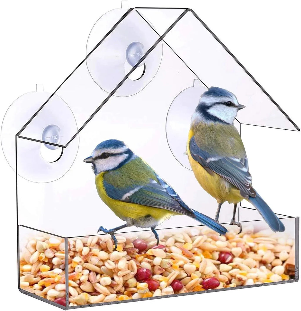 🐦🏡 Clear Acrylic Window Bird Feeder with Suction Cups