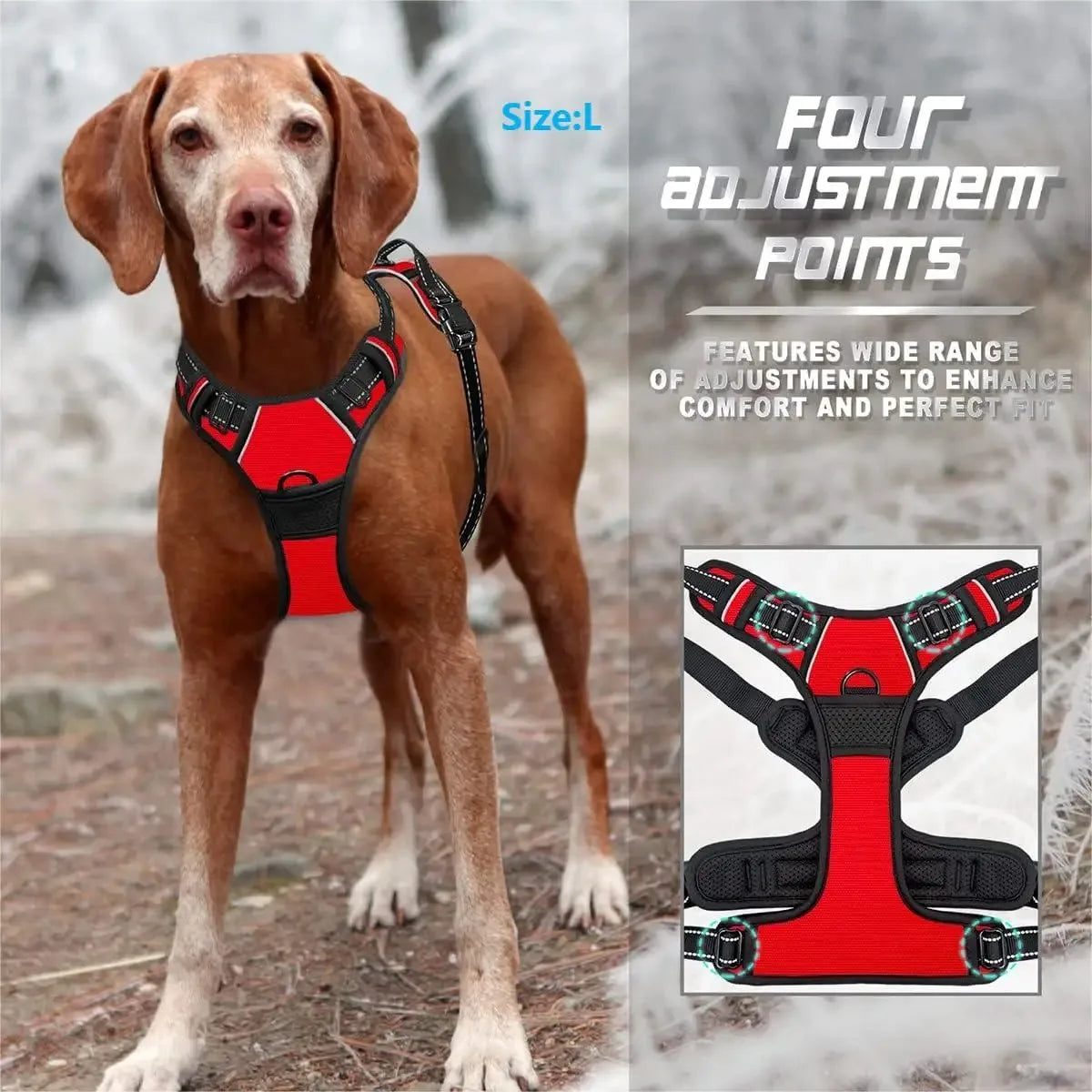 🐾🦺 Dog Harness Vest & Leather Leash Set – Collar Accessories