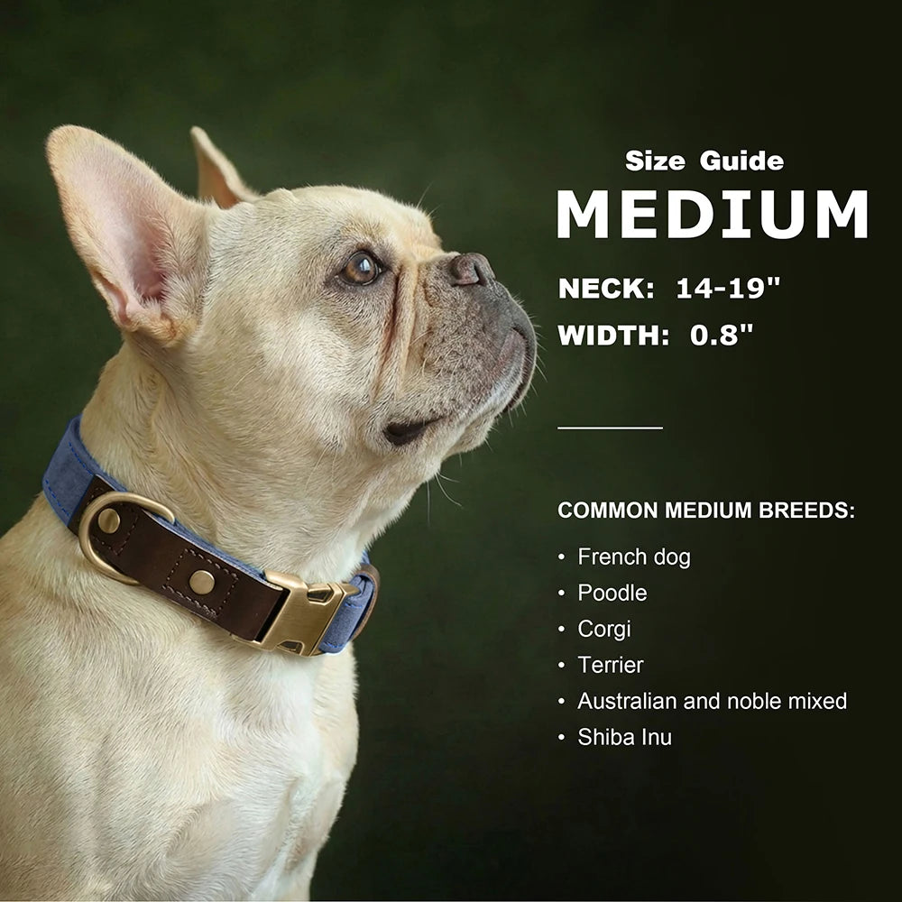 🐾 Customized Dog Collar | Durable PU Leather + Nylon | Engraved Pet ID Necklace 🐶 | Adjustable Metal Buckle for Small, Medium & Large Dogs (Pug, Pitbull, Chihuahua, Terrier) ✨