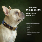 🐾 Customized Dog Collar | Durable PU Leather + Nylon | Engraved Pet ID Necklace 🐶 | Adjustable Metal Buckle for Small, Medium & Large Dogs (Pug, Pitbull, Chihuahua, Terrier) ✨