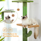 🌵🐱 5-Tier Floor-to-Ceiling Cat Tree – Cactus Climbing Tower