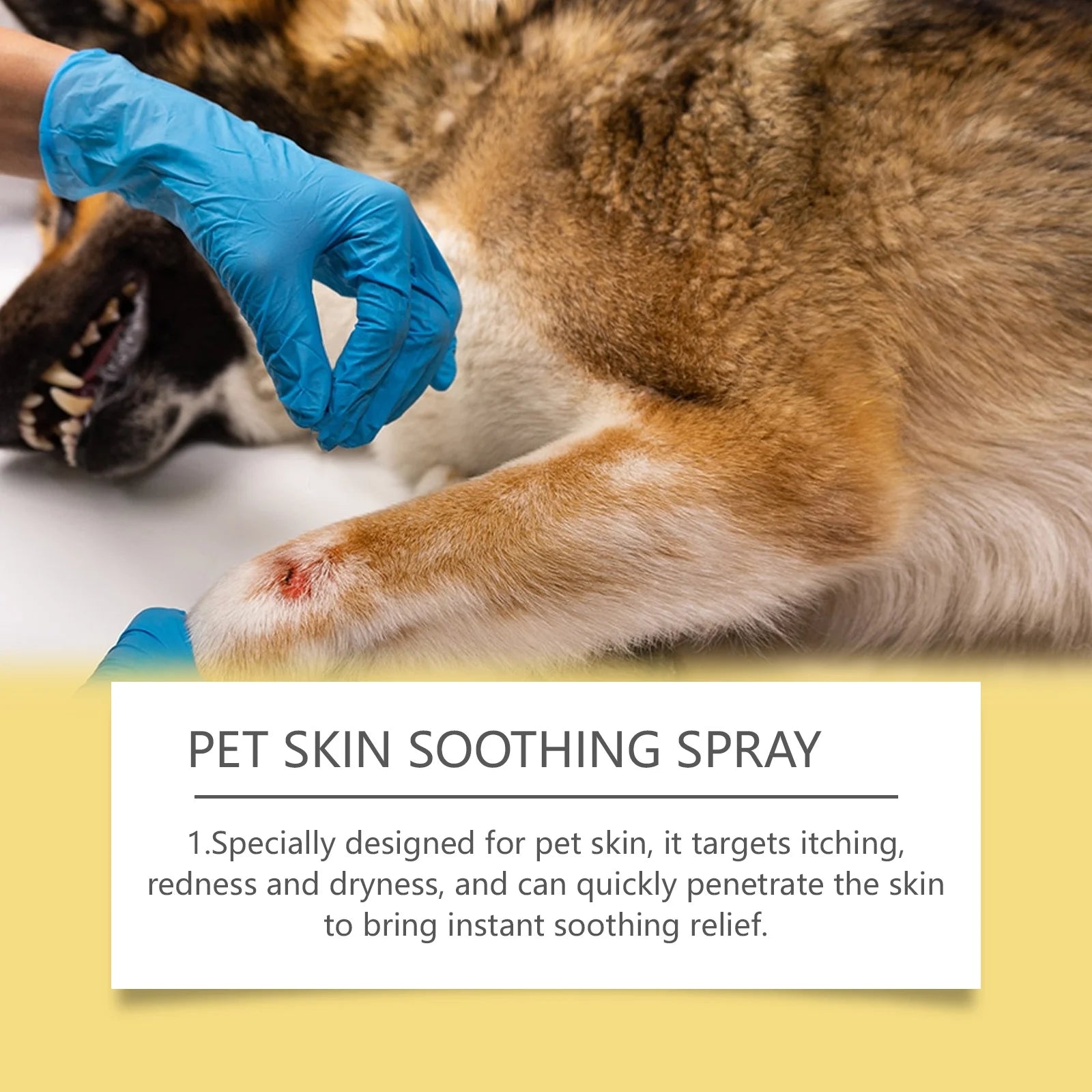Pet Skin Care Spray – Flea & Lice Relief for Dogs & Cats