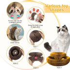 🐱🌀 Foldable Magic Organ Cat Scratching Board & Bed
