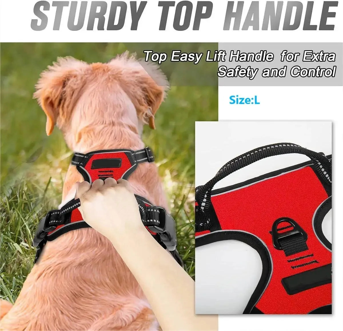 🐾🦺 Dog Harness Vest & Leather Leash Set – Collar Accessories