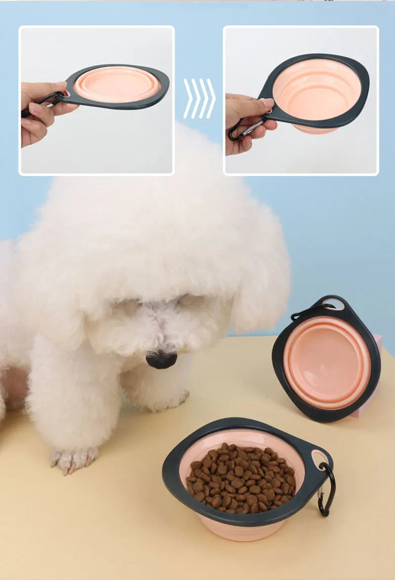 🐾🥣 Folding Silicone Pet Travel Bowl – Collapsible Outdoor Feeder