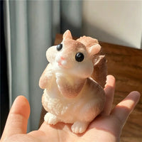 Squirrel Coffee