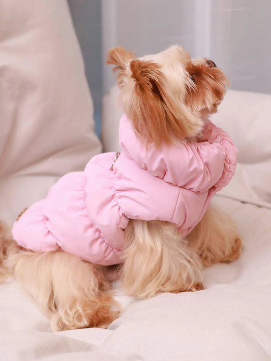 🐾❄️ 3-Layer Warm Dog Jacket – Autumn/Winter Cozy Pet Coat for Small & Medium Dogs (Poodle, Teddy, Yorkie)