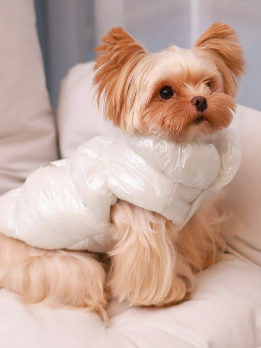 🐾👑 Winter Dog Fur Vest & Princess Skirt Coat – Warm, Windproof & Water-Resistant Jacket for Small Dogs