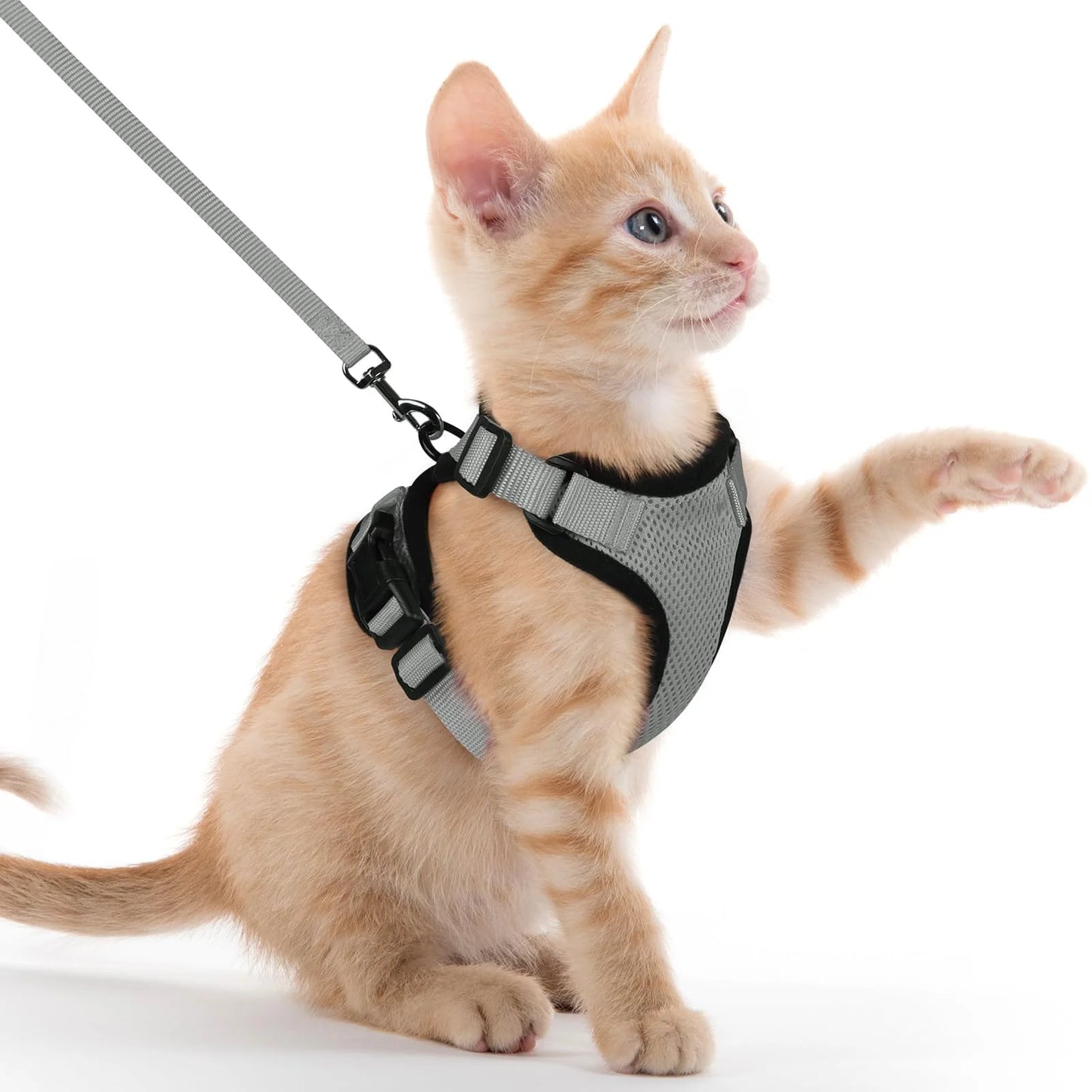 🐾✨ Adjustable Reflective Cat & Small Dog Harness Leash Set – Escape Proof Mesh Vest