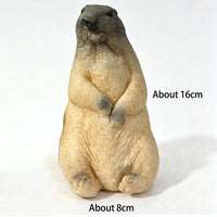 Marmot M