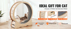 🐱🏃‍♀️ SucceBuy Wooden Cat Exercise Wheel – Large Indoor Treadmill 🔎 SEO Title