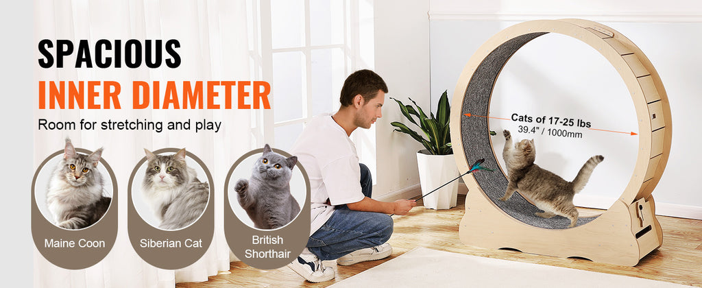 🐱🏃‍♀️ SucceBuy Wooden Cat Exercise Wheel – Large Indoor Treadmill 🔎 SEO Title