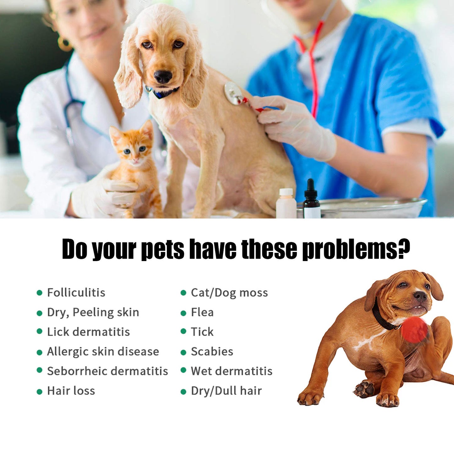 Pet Hair Care Spray – Anti-Itch, Soft & Fluffy Coat Conditioning Solution 😺🐶