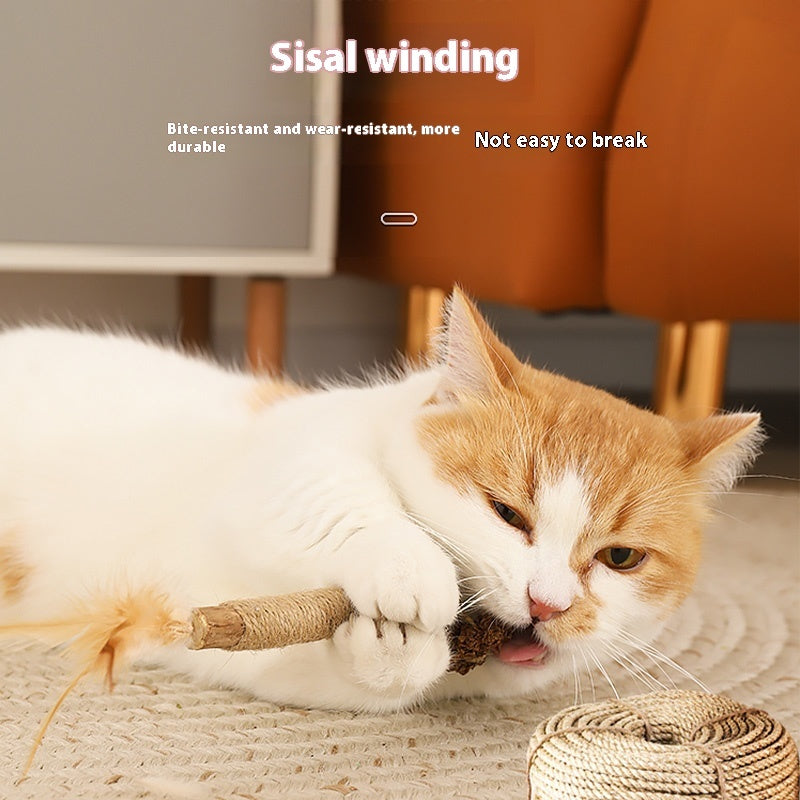 Polygonum Molar Rod Cat Teaser – Self-Play Dental Chew Stick for Cats 😺✨