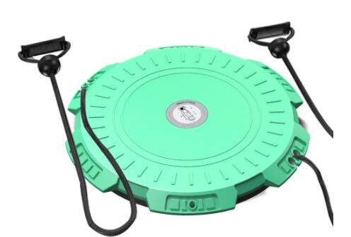 Magnetic Waist Twisting Disk for Core Training