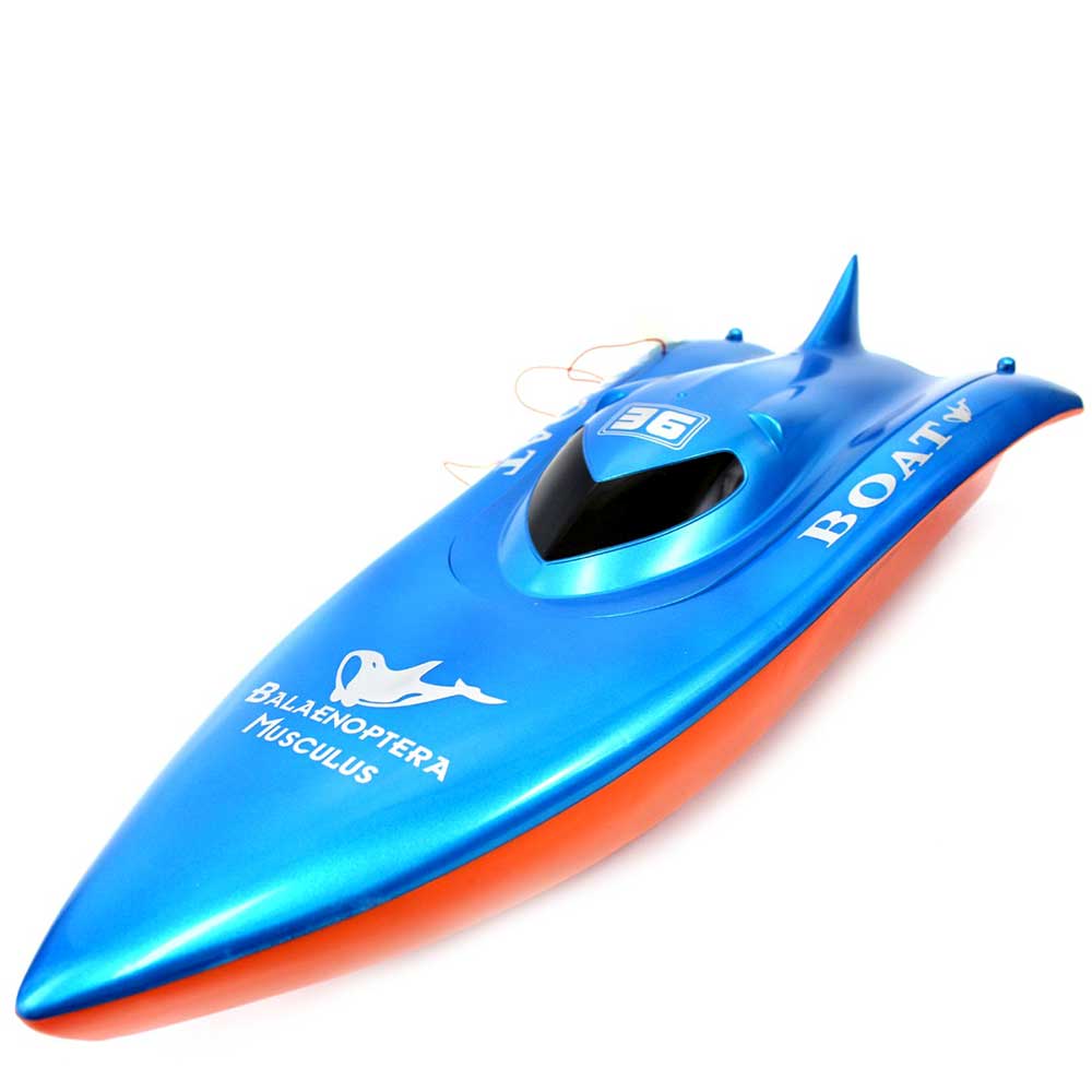 23 in Balaenoptera Musculus Racing Boat | Blue G8Central