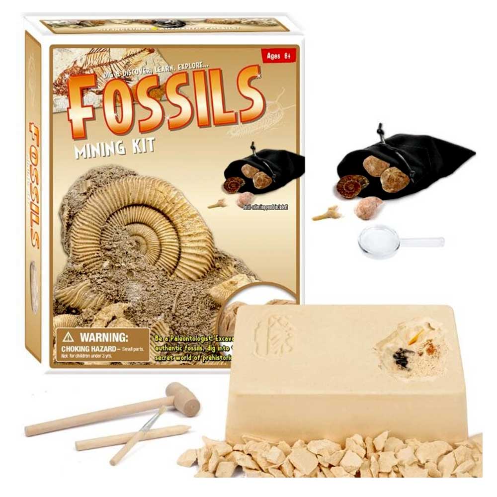 Dinosaur Bone Fossil Dig Kits