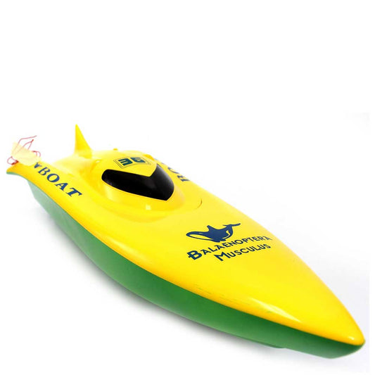 23 in Balaenoptera Musculus Racing Boat | Green Yellow G8Central