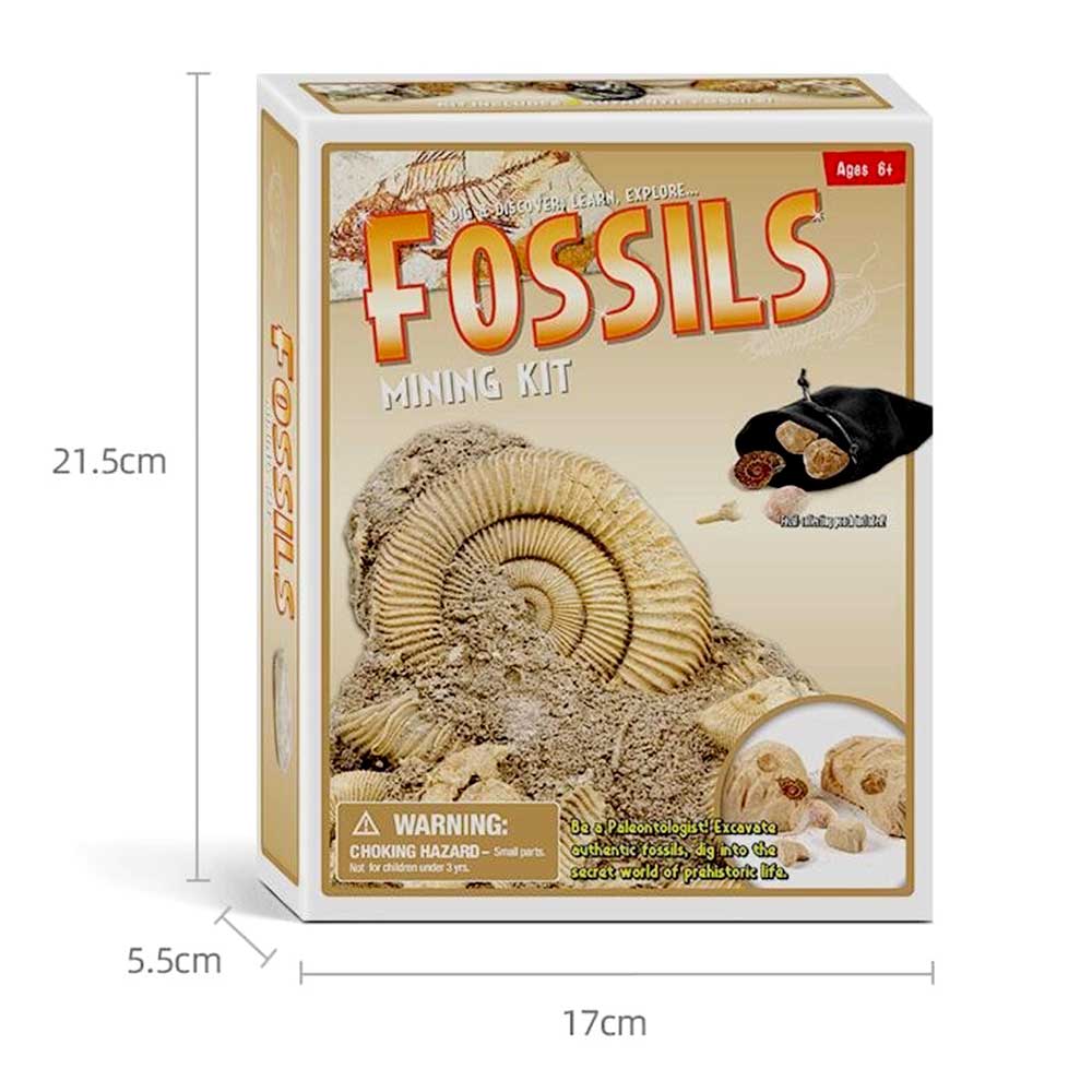 Dinosaur Bone Fossil Dig Kits