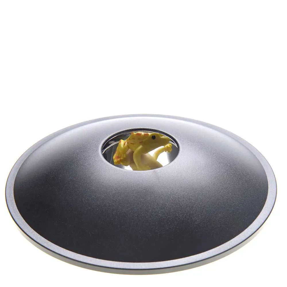 6" 3-D Mirascope G8Central