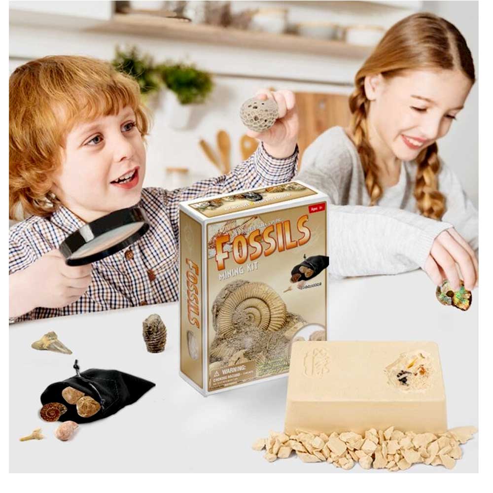 Dinosaur Bone Fossil Dig Kits