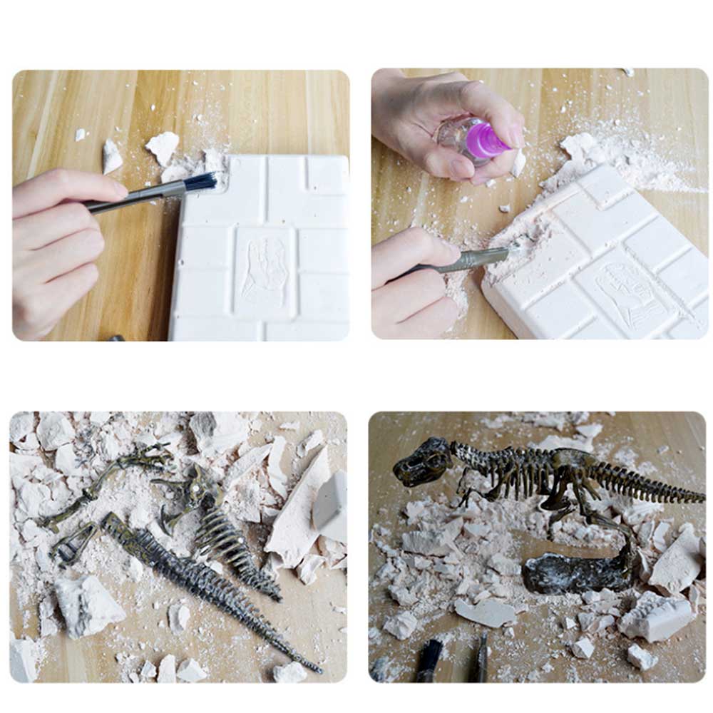 Dinosaur Skeleton Fossil Excavation Kit | T-Rex G8Central