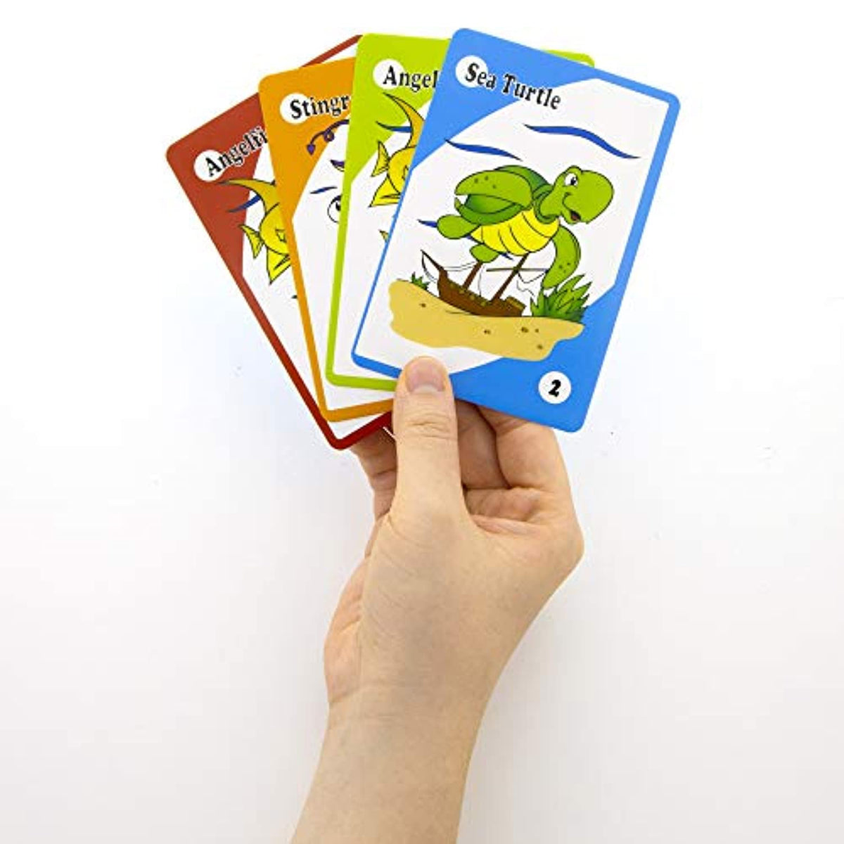 Assorted Card Games, Board Game Set (36/Pack)