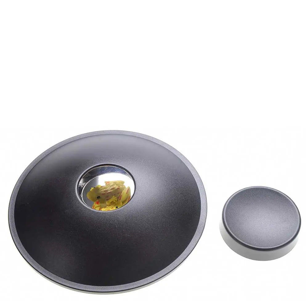 6" 3-D Mirascope G8Central