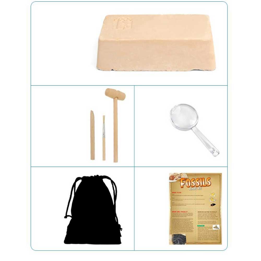 Dinosaur Bone Fossil Dig Kits