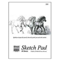 9" X 12" 40-Count / 2-Pack