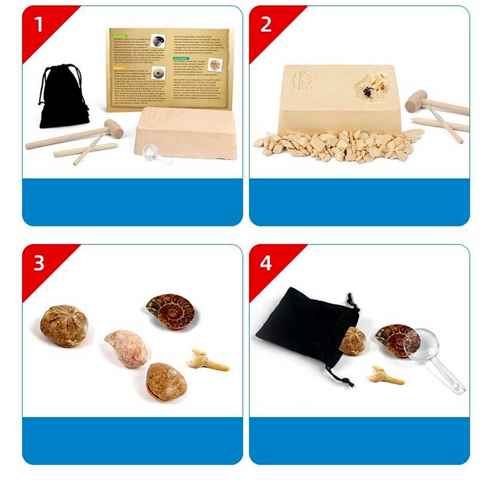 Dinosaur Bone Fossil Dig Kits