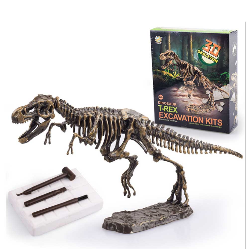 Dinosaur Skeleton Fossil Excavation Kit | T-Rex G8Central