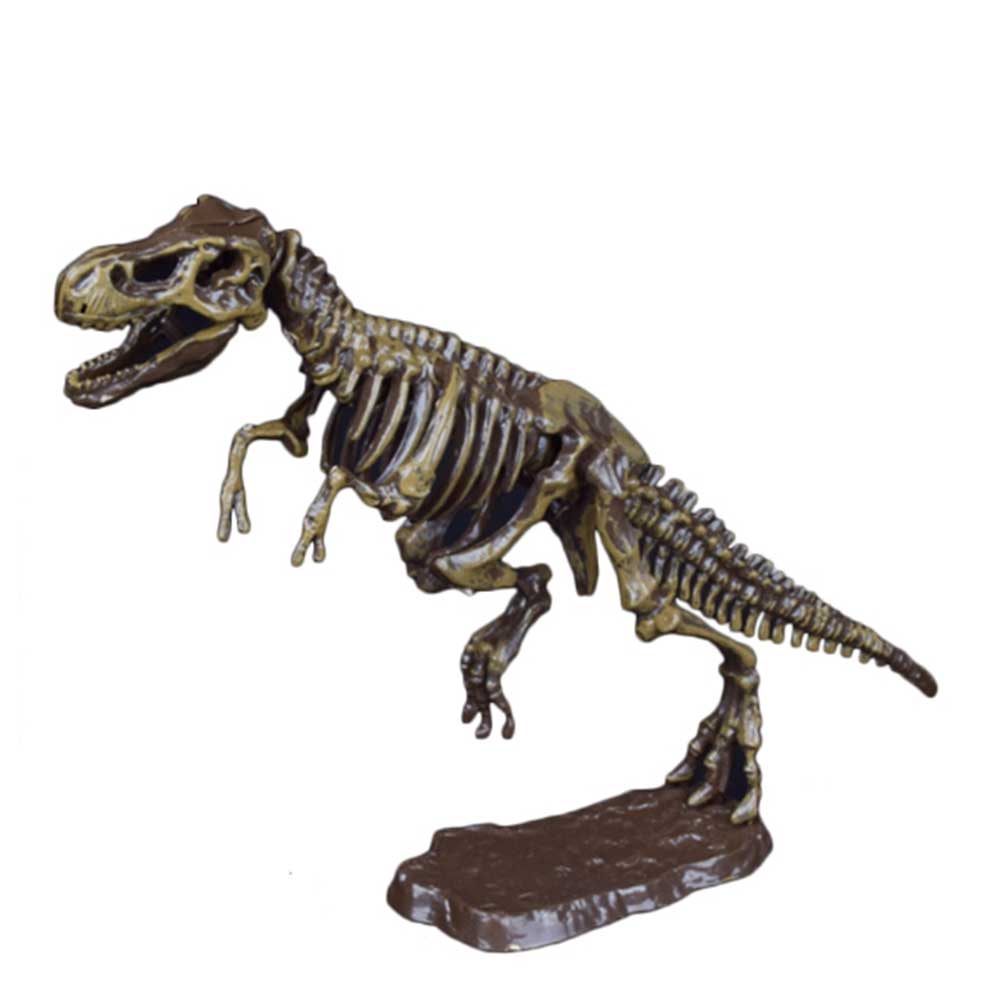 Dinosaur Skeleton Fossil Excavation Kit | T-Rex G8Central