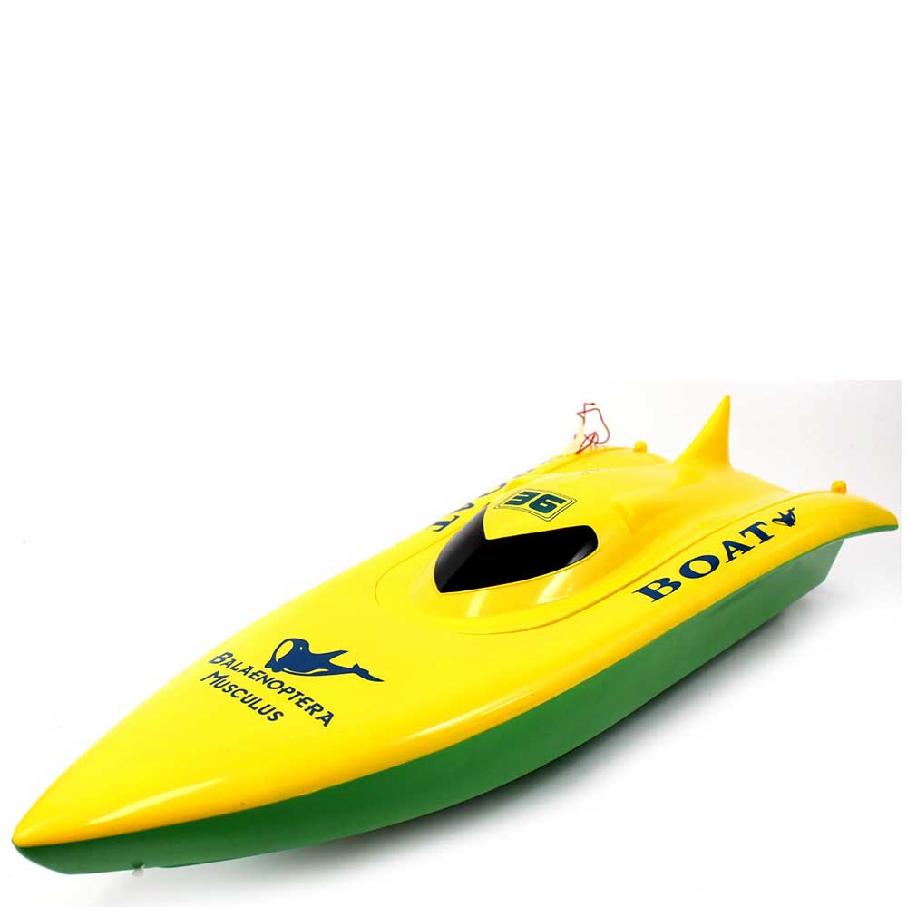 23 in Balaenoptera Musculus Racing Boat | Green Yellow G8Central