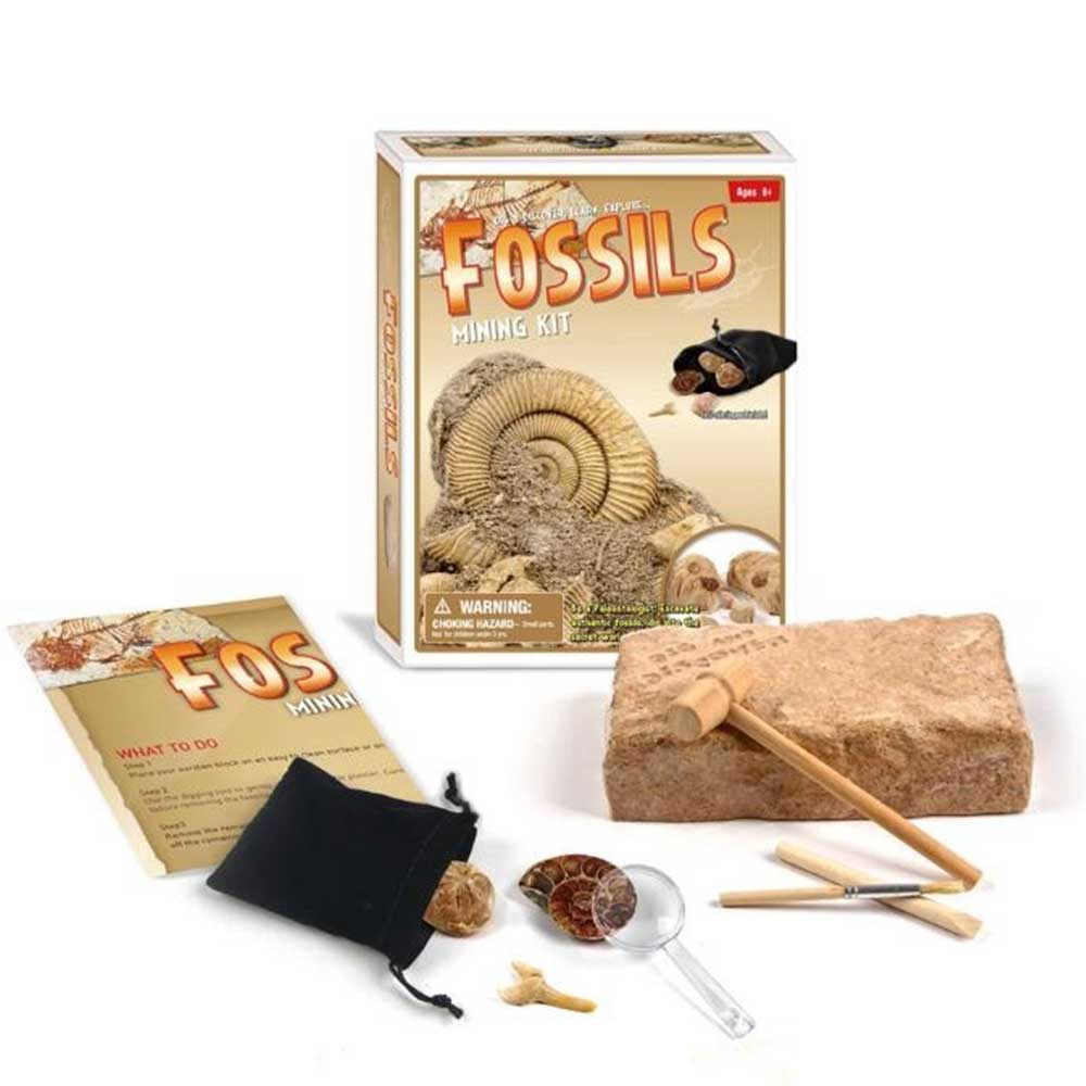 Dinosaur Bone Fossil Dig Kits